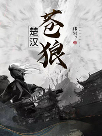 楚汉苍狼