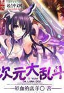 次元大乱斗