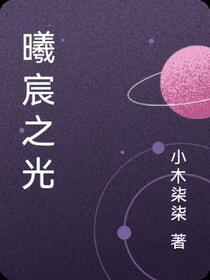 曦宸之光