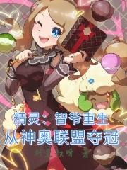 精灵：新生智爷，从神奥出发