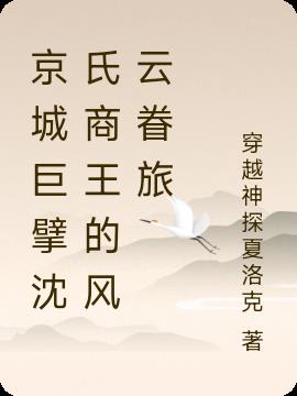 京城巨擘沈氏商王的风云眷旅